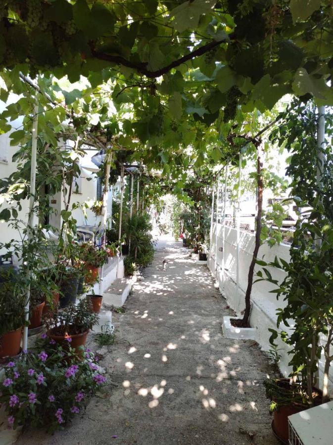 Angela Studios Κασσιόπη Εξωτερικό φωτογραφία